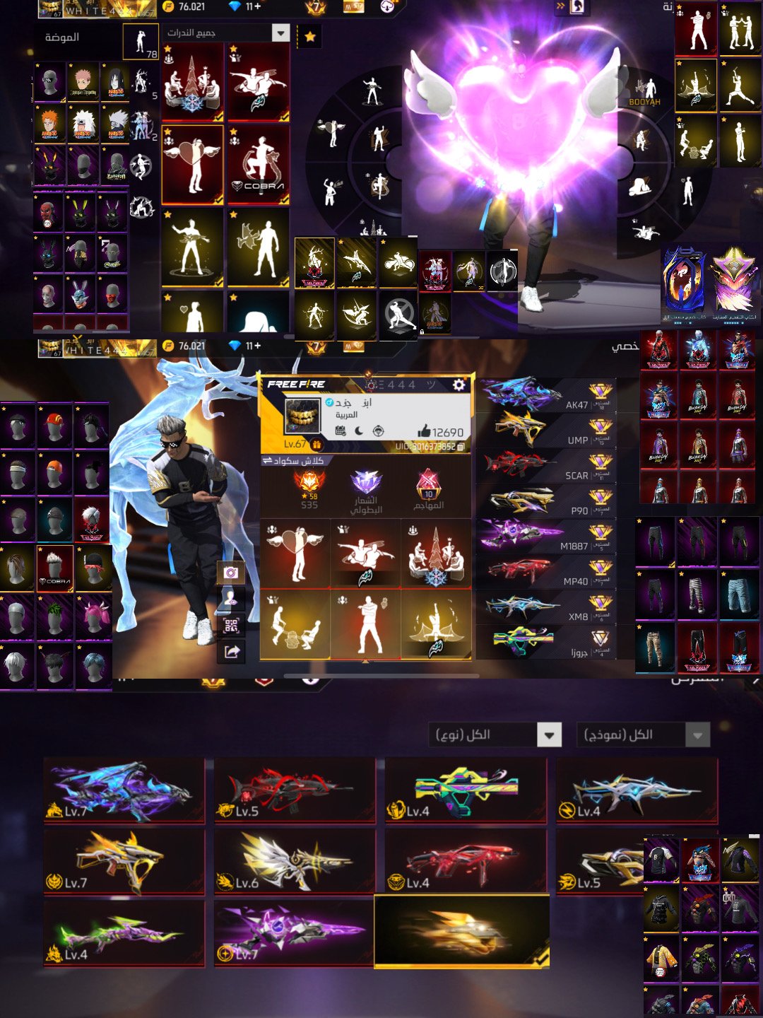 صورة الإعلان